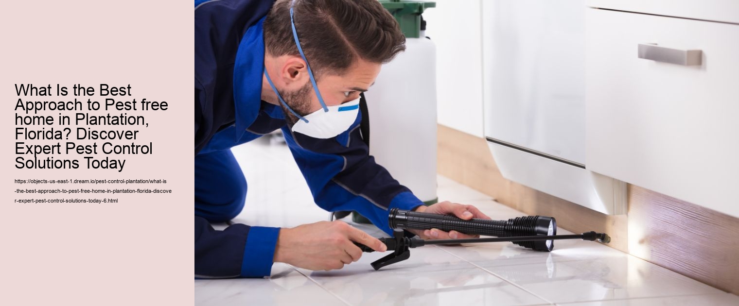 What Is the Best Approach to Pest free home in Plantation, Florida? Discover Expert Pest Control Solutions Today
