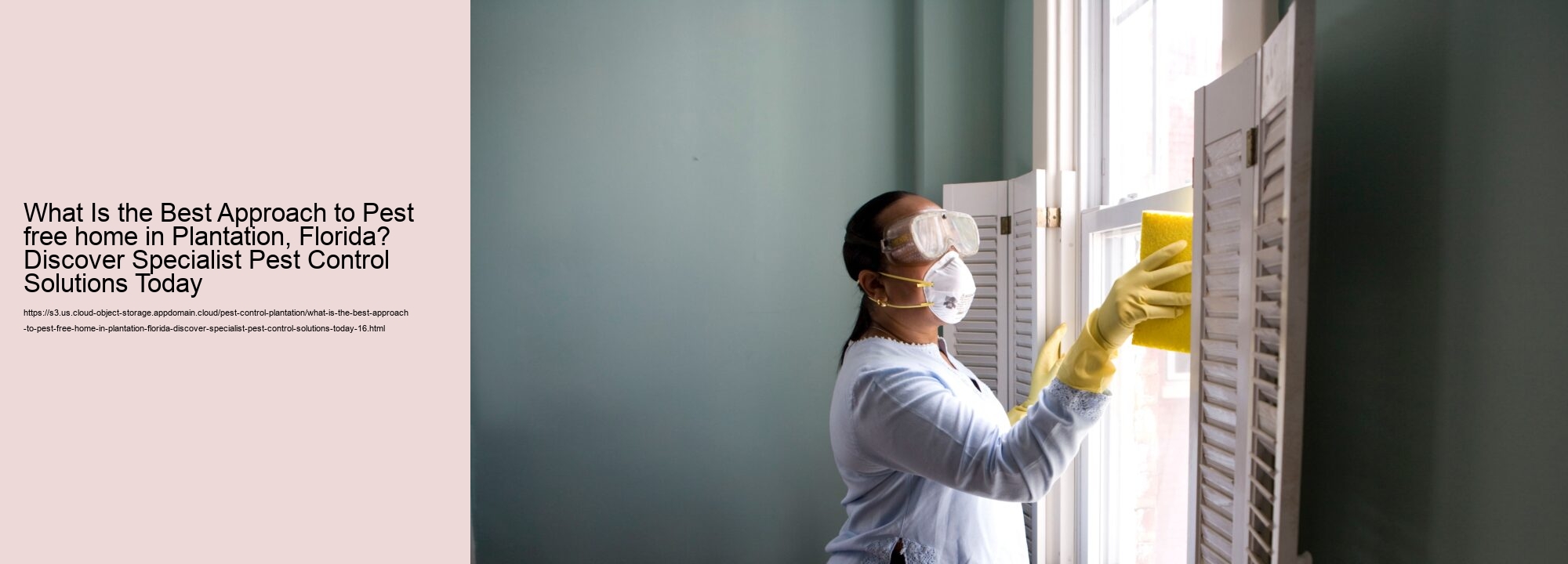What Is the Best Approach to Pest free home in Plantation, Florida? Discover Specialist Pest Control Solutions Today