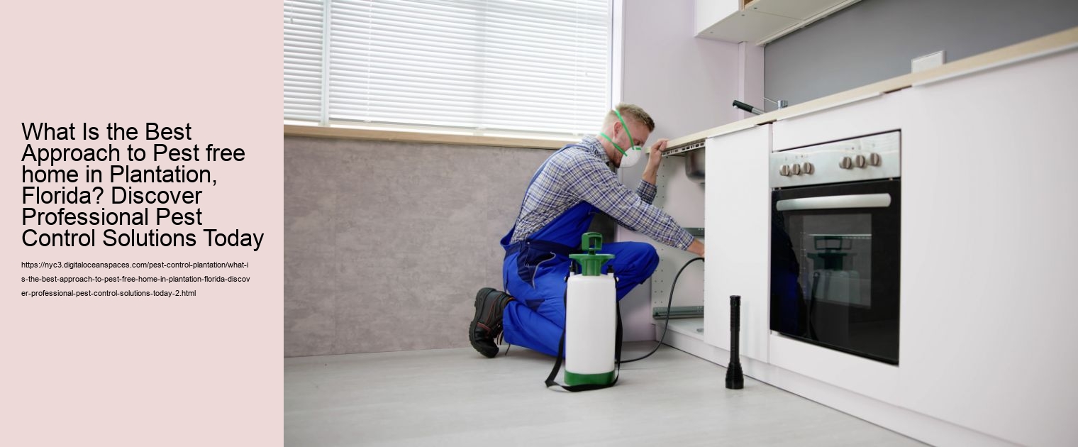 What Is the Best Approach to Pest free home in Plantation, Florida? Discover Professional Pest Control Solutions Today